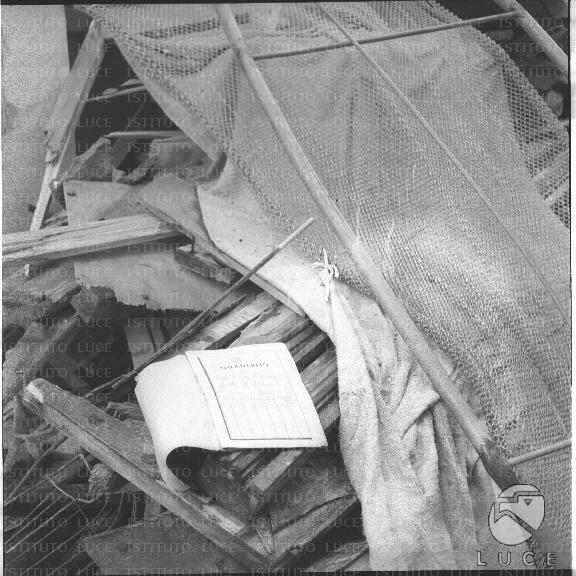 FV/NTH00356/FV00077959.JPG