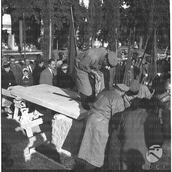 FV/NTH00374/FV00082056.JPG