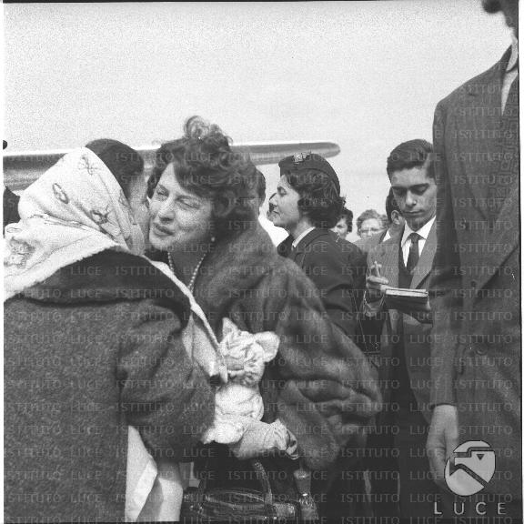 FV/NTH00382/FV00083680.JPG