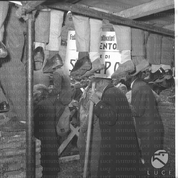 FV/NTH00383/FV00083918.JPG