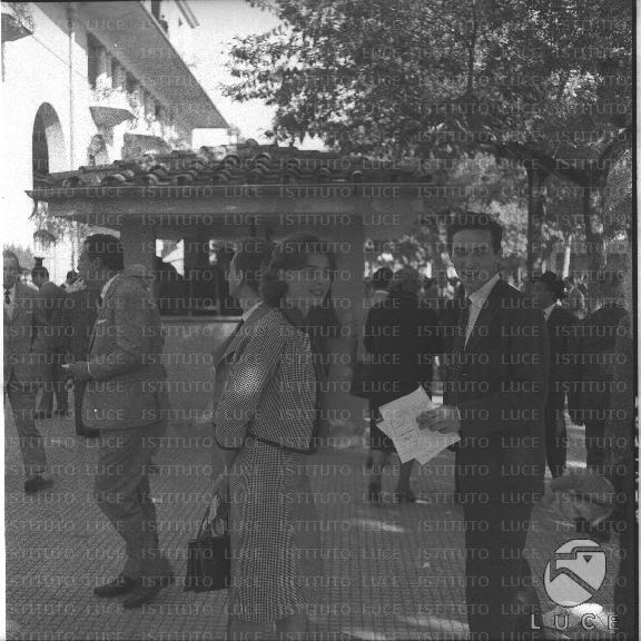 FV/NTH00386/FV00084710.JPG
