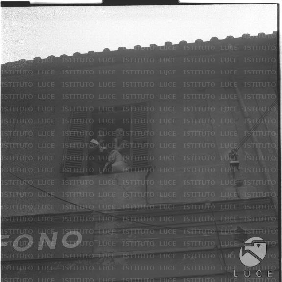 FV/NTH00386/FV00084716.JPG