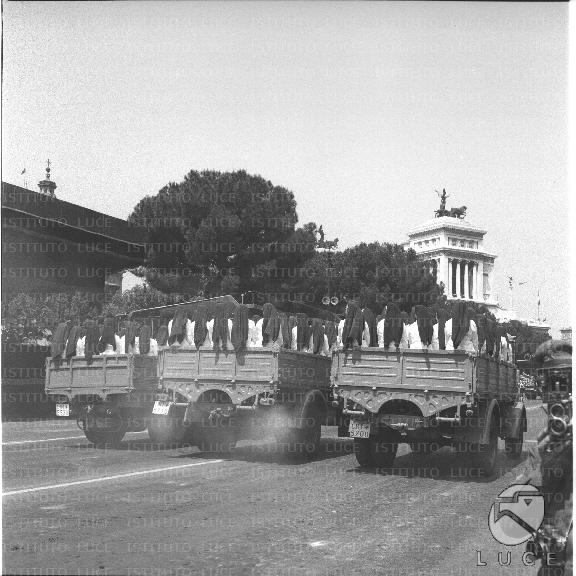 FV/NTH00391/FV00085807.JPG