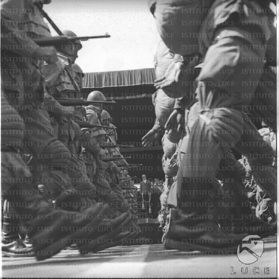 FV/NTH00392/FV00085862.JPG