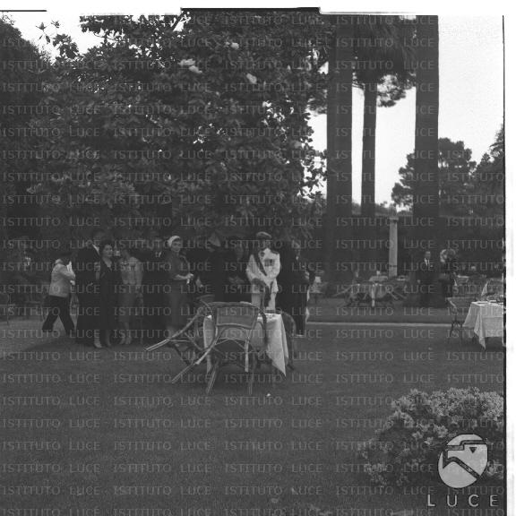 FV/NTH00392/FV00085890.JPG