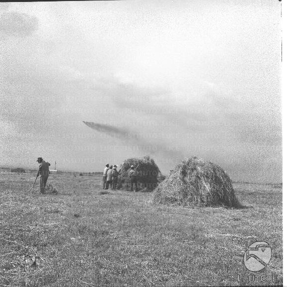 FV/NTH00395/FV00086677.JPG