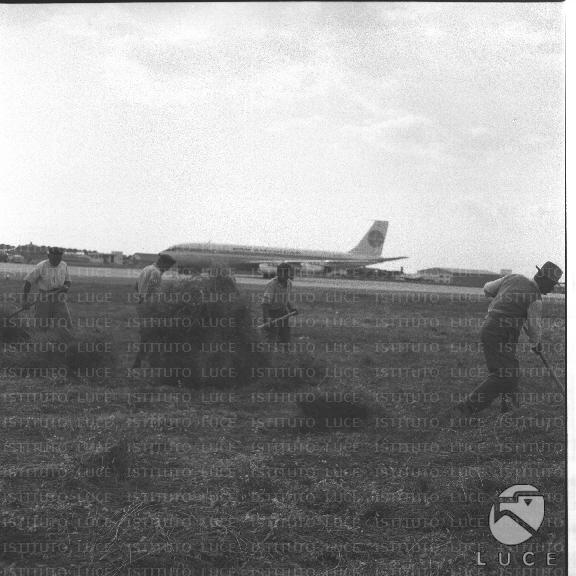 FV/NTH00395/FV00086689.JPG