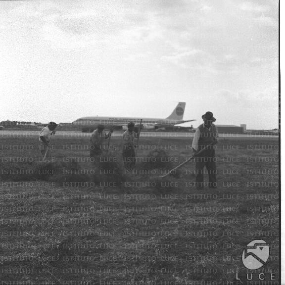 FV/NTH00395/FV00086691.JPG
