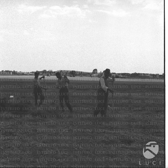 FV/NTH00395/FV00086697.JPG