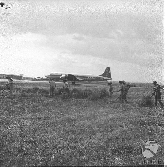 FV/NTH00396/FV00086710.JPG