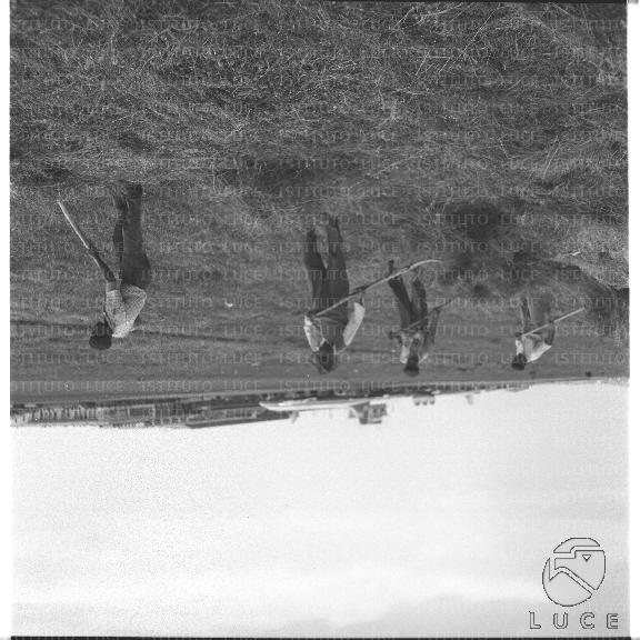 FV/NTH00396/FV00086718.JPG