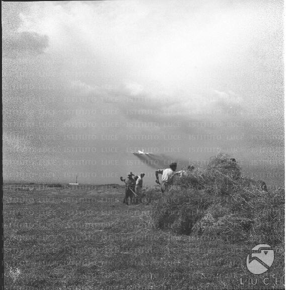 FV/NTH00396/FV00086743.JPG