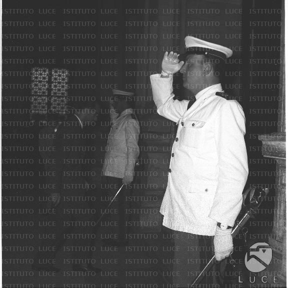 FV/NTH00396/FV00086787.JPG