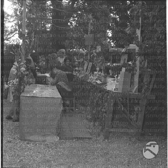 FV/NTH00396/FV00086855.JPG