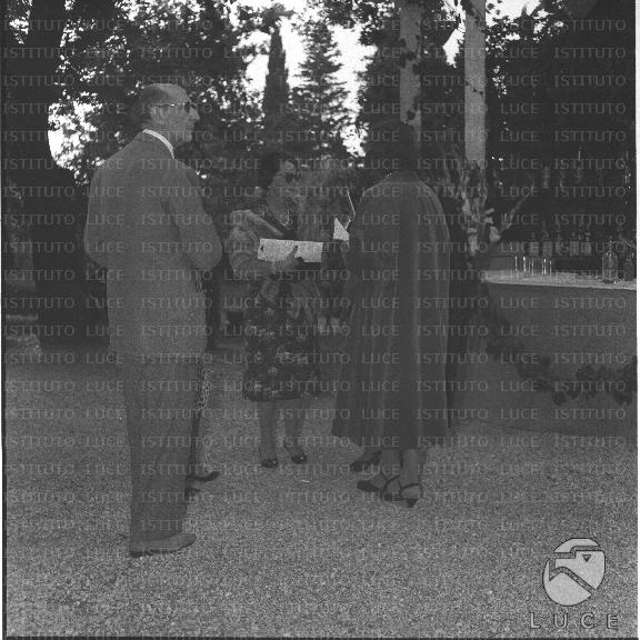 FV/NTH00396/FV00086891.JPG