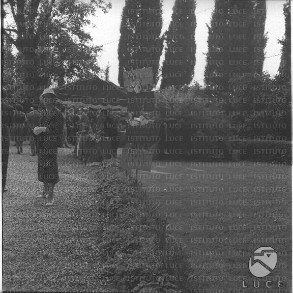 FV/NTH00397/FV00086958.JPG