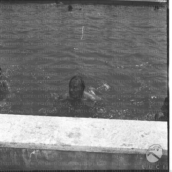 FV/NTH00406/FV00089018.JPG FV/NTH00406/FV00089018.JPG