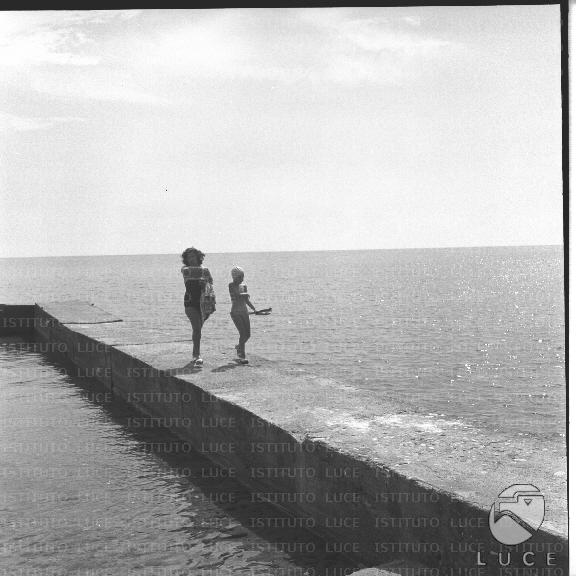 FV/NTH00410/FV00089981.JPG