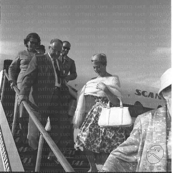 FV/NTH00411/FV00090146.JPG