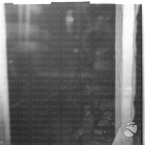 FV/NTH00424/FV00092913.JPG
