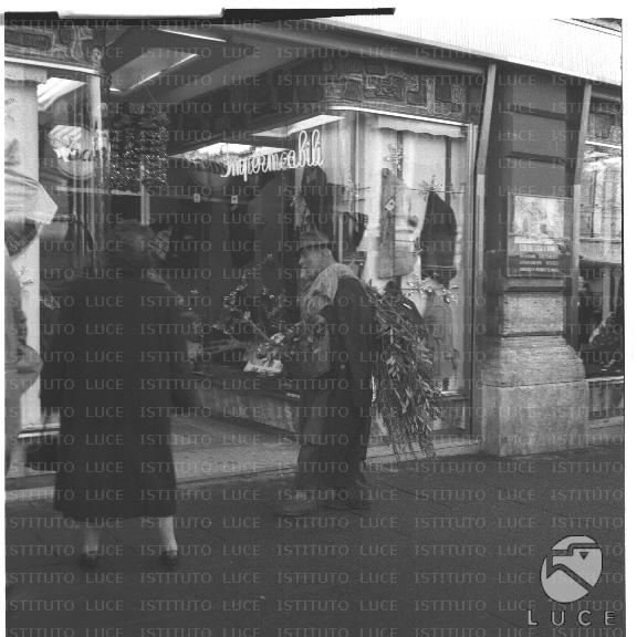 FV/NTH00434/FV00095137.JPG FV/NTH00434/FV00095137.JPG