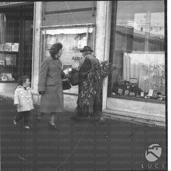 FV/NTH00434/FV00095161.JPG FV/NTH00434/FV00095161.JPG