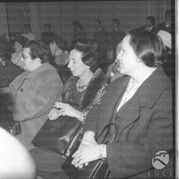 FV/NTH00437/FV00095842.JPG