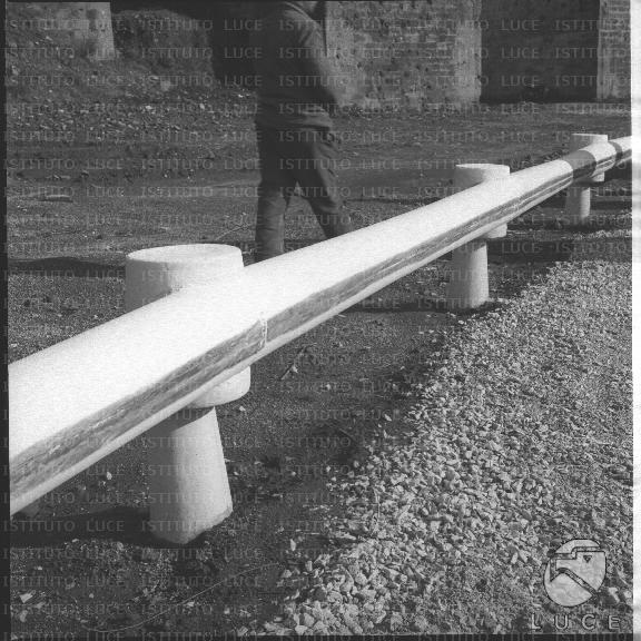 FV/NTH00438/FV00096087.JPG