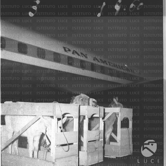 FV/NTH00439/FV00096286.JPG