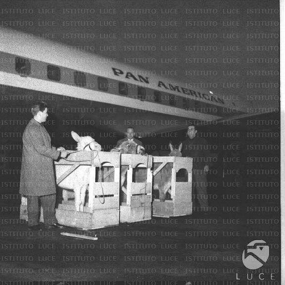 FV/NTH00439/FV00096298.JPG