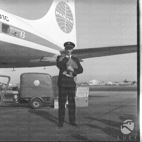 FV/NTH00439/FV00096322.JPG