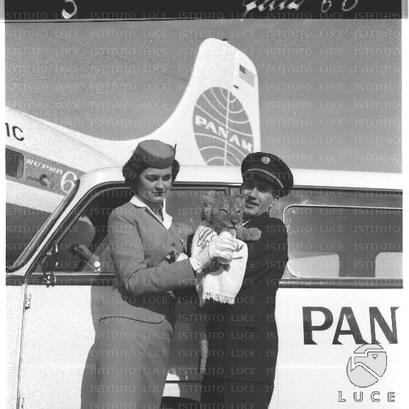 FV/NTH00439/FV00096349.JPG