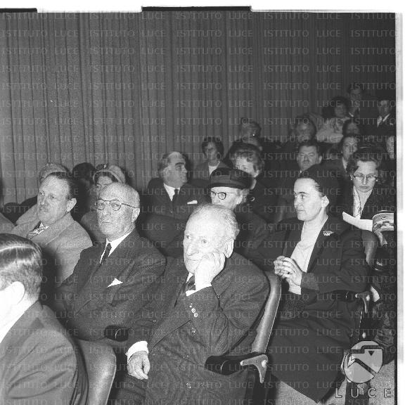 FV/NTH00445/FV00097570.JPG