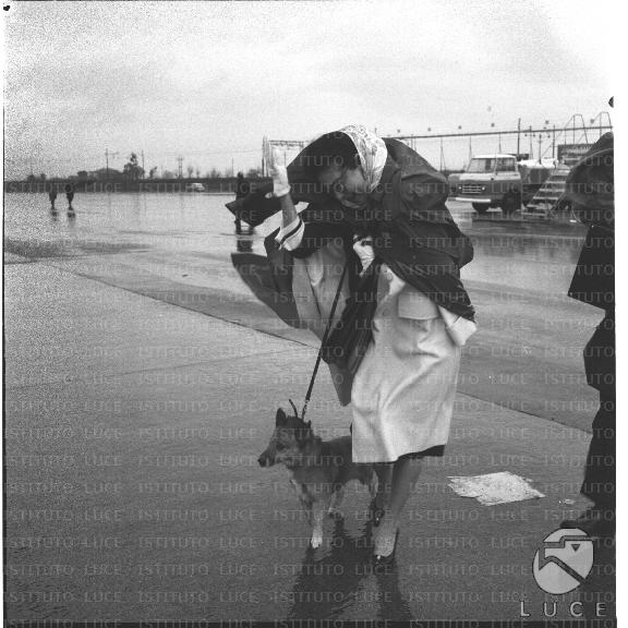FV/NTH00447/FV00097970.JPG