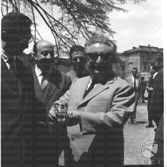 FV/NTH00472/FV00103405.JPG