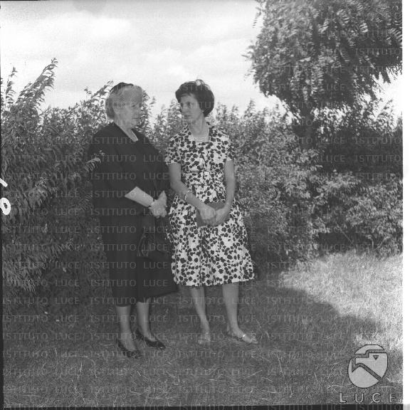 FV/NTH00485/FV00106385.JPG