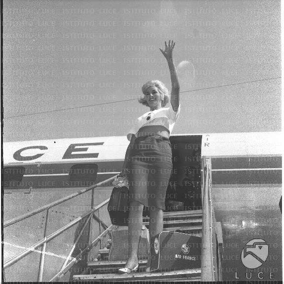 FV/NTH00486/FV00106508.JPG