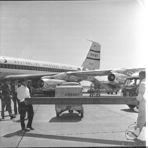FV/NTH00487/FV00106730.JPG