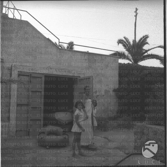 FV/NTH00490/FV00107529.JPG