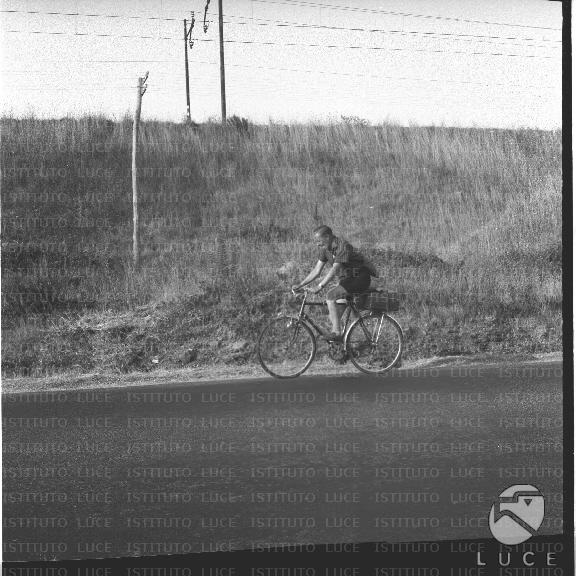 FV/NTH00490/FV00107536.JPG