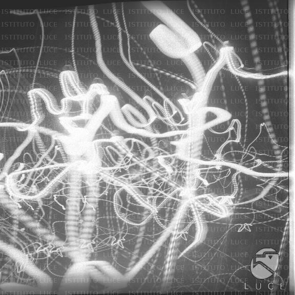 FV/NTH00495/FV00108490.JPG