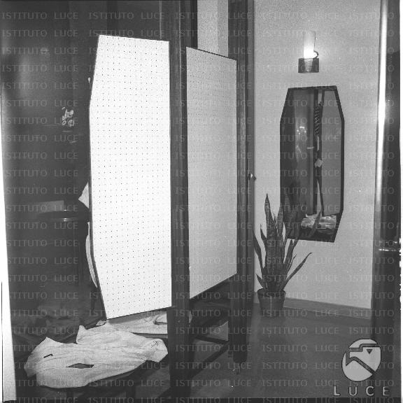 FV/NTH00501/FV00109792.JPG