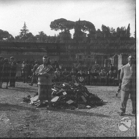 FV/NTH00501/FV00109826.JPG
