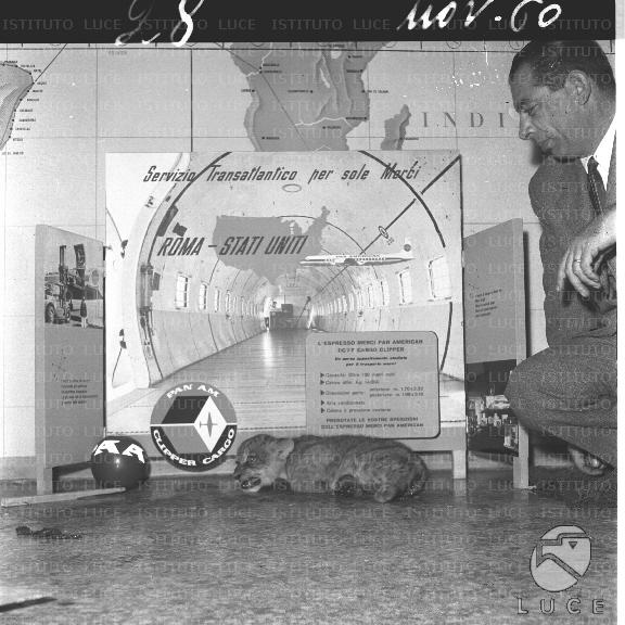 FV/NTH00511/FV00112067.JPG