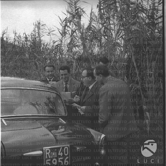 FV/NTH00511/FV00112135.JPG