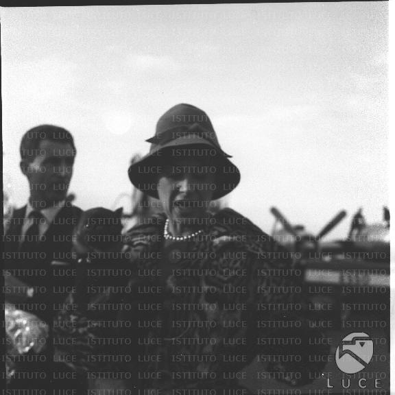 FV/NTH00518/FV00113658.JPG
