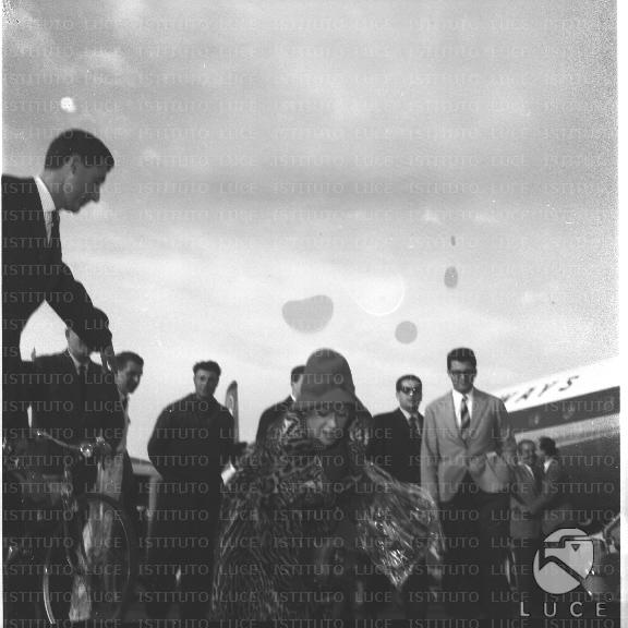 FV/NTH00518/FV00113672.JPG