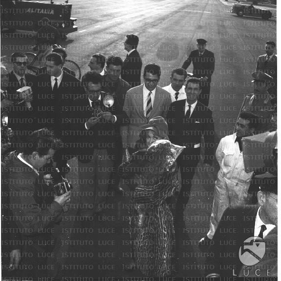 FV/NTH00518/FV00113677.JPG