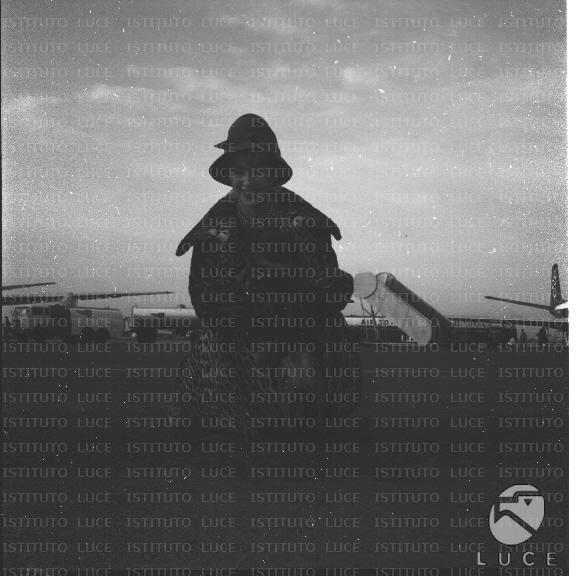 FV/NTH00519/FV00113714.JPG