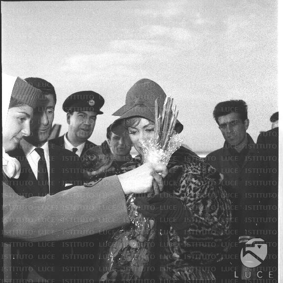 FV/NTH00519/FV00113735.JPG